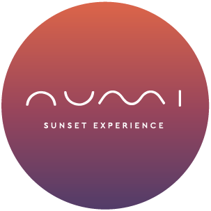 numi-logo-purple